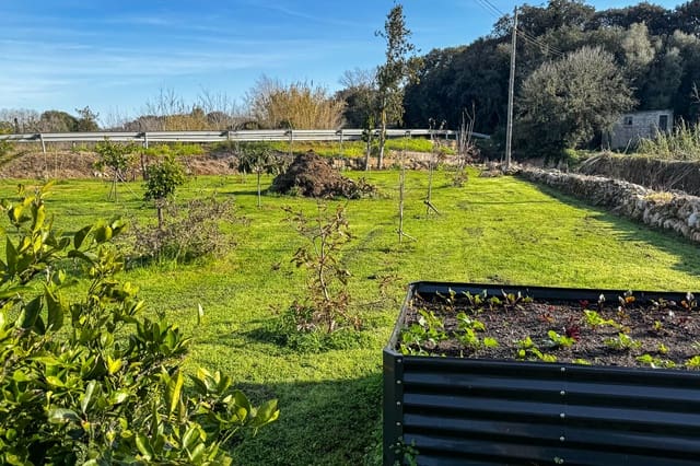 Ubebygd land til salgs i Artà - € 125 000 (Ref: 9532734)