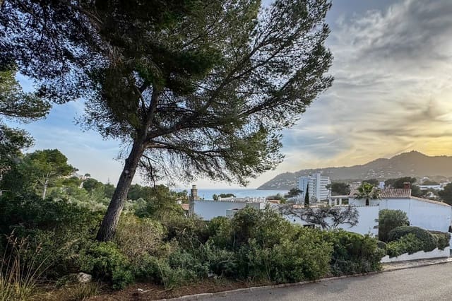 Ubebygd land til salgs i Canyamel, Capdepera - € 395 000 (Ref: 9570197)