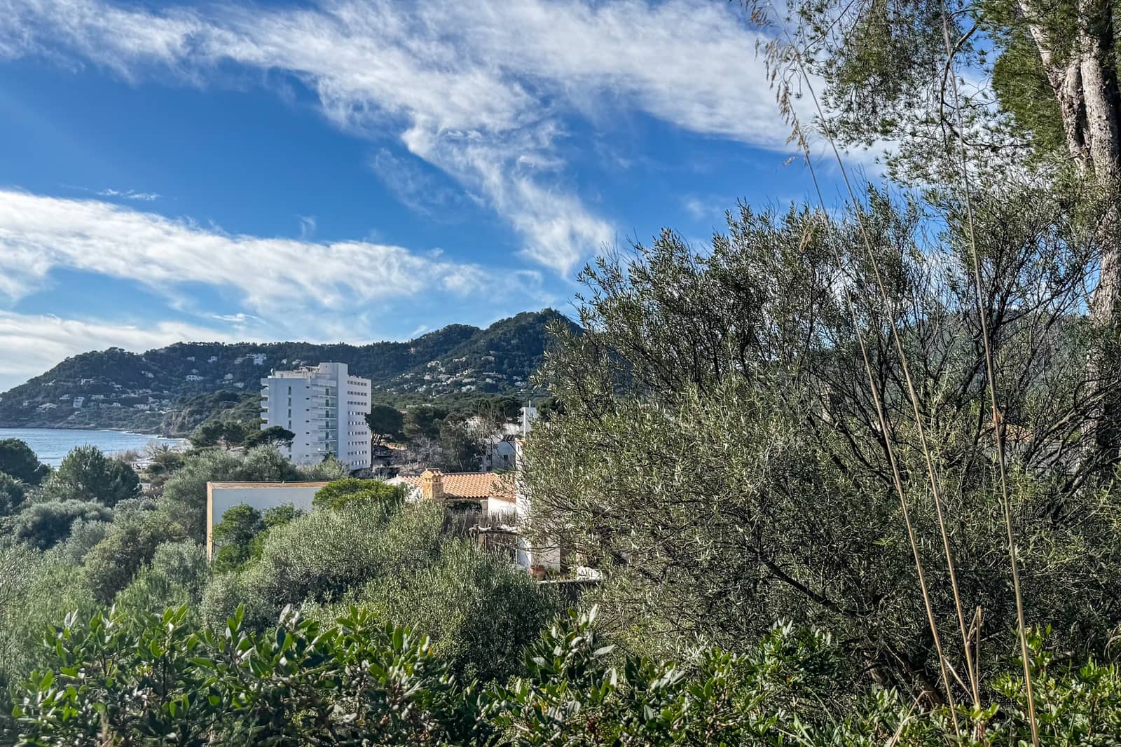 Ubebygd land til salgs i Canyamel - € 395 000 (Ref: 9570197)