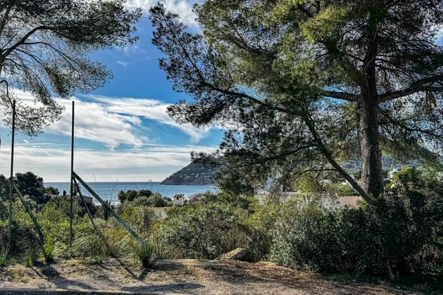 Ubebygd land til salgs i Canyamel, Capdepera - € 395 000 (Ref: 9570197)