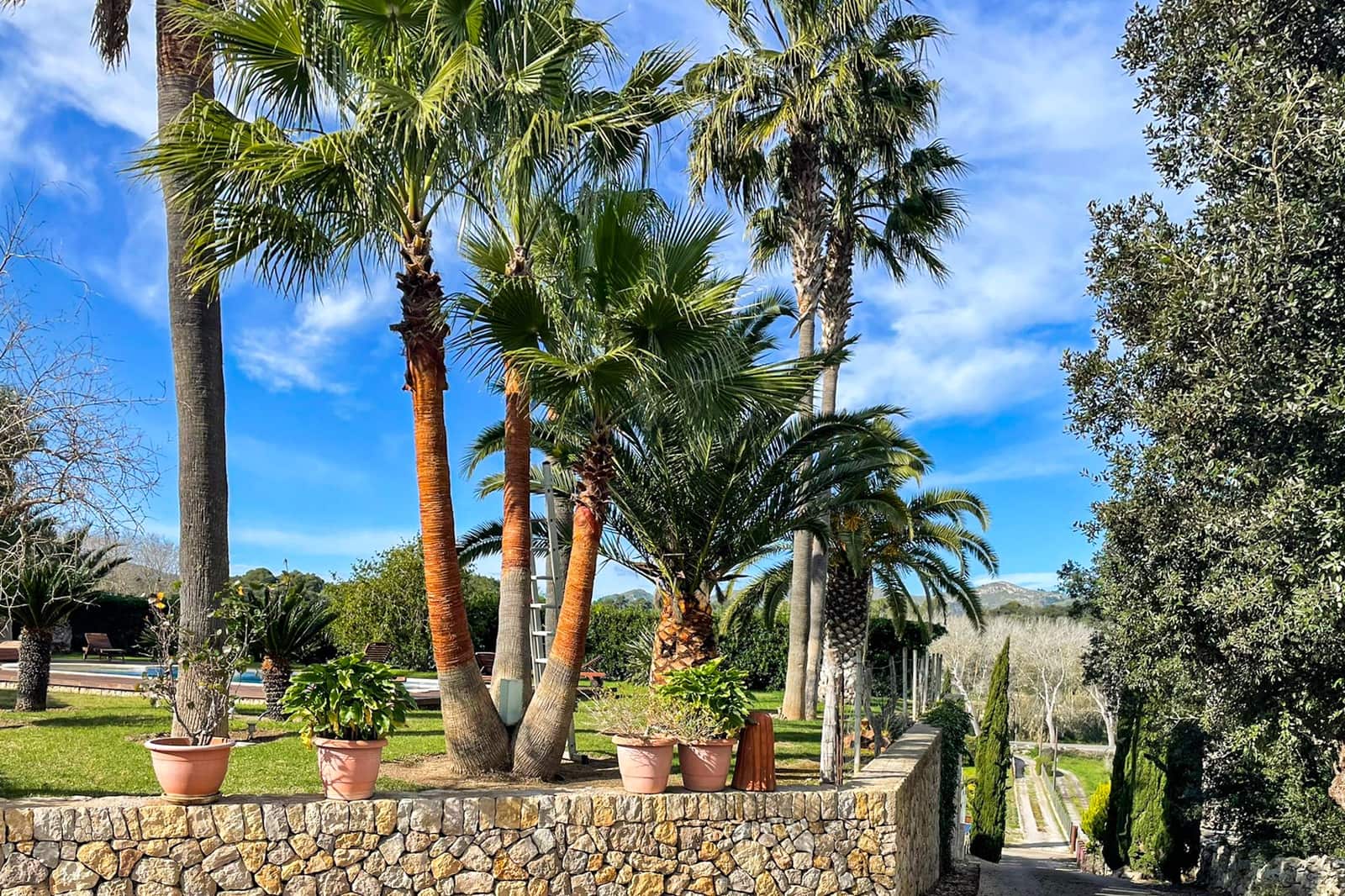 4 bedroom Finca/Country House for sale in Arta with pool - € 1,720,000 (Ref: 9581252)