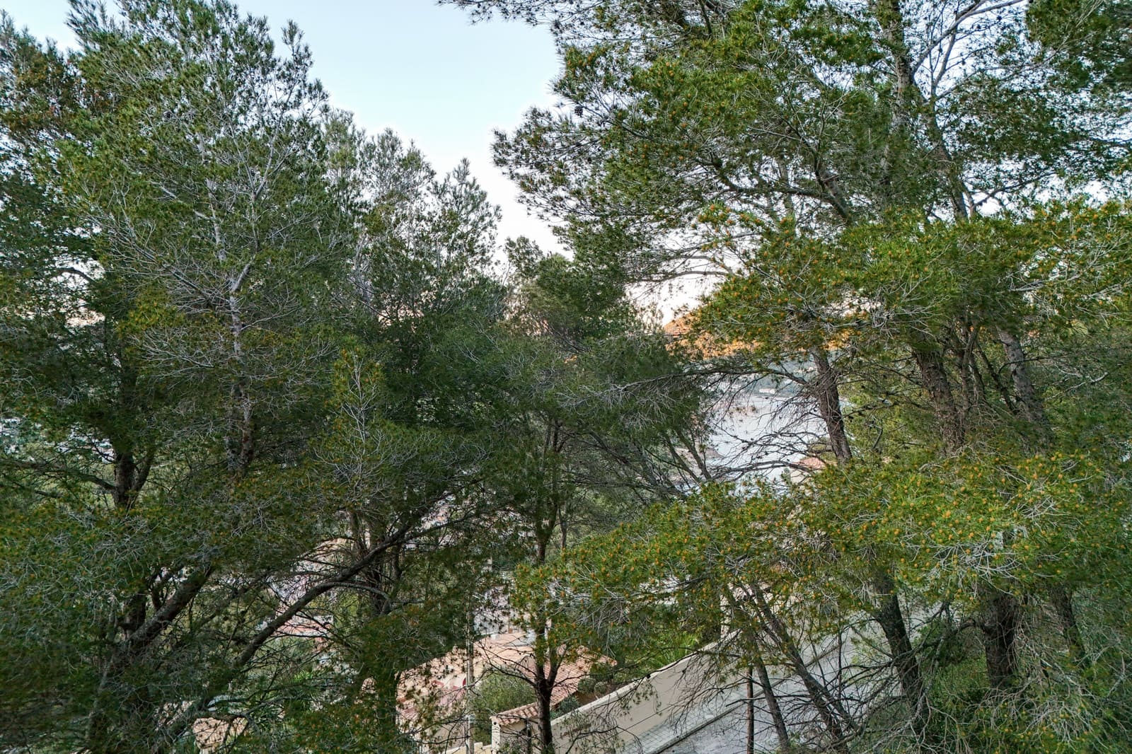 Undeveloped Land for sale in Canyamel - € 380,000 (Ref: 9632789)