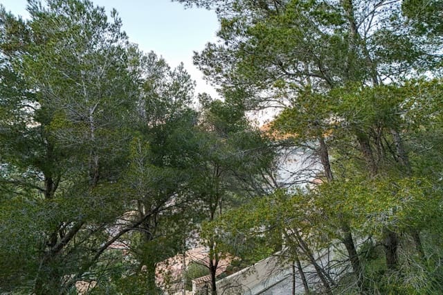 Mark till salu i Canyamel, Capdepera - 380 000 € (Ref: 9632789)