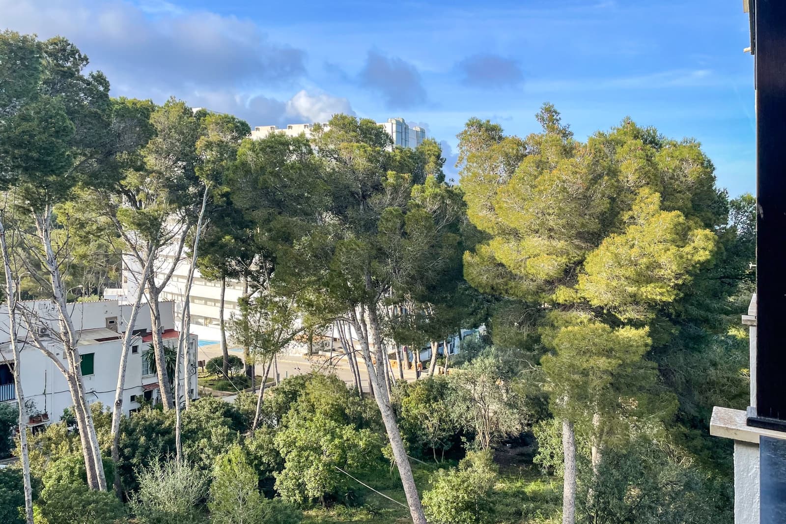 1 sypialnia Apartament na sprzedaż w Font de Sa Cala / Font de La Cala - 225 000 € (Ref: 9675107)