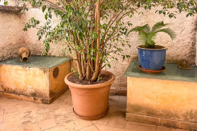 4 quarto Casa em Banda para venda em Artà - 599 000 € (Ref: 9736145)