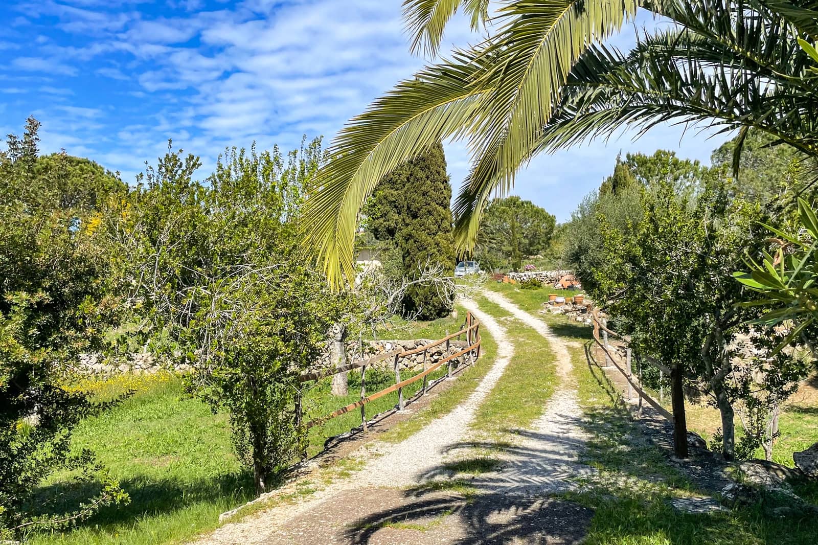 3 chambre Finca/Maison de Campagne à vendre à Arta - 785 000 € (Ref: 9760092)