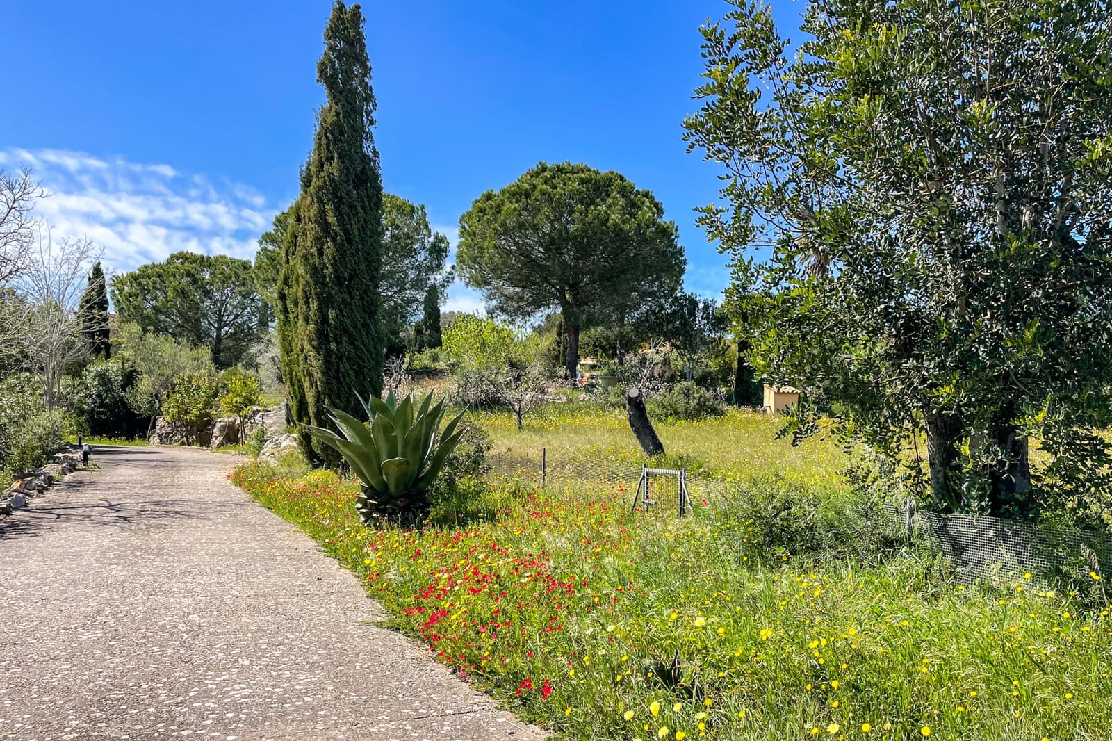 3 chambre Finca/Maison de Campagne à vendre à Arta - 785 000 € (Ref: 9760092)