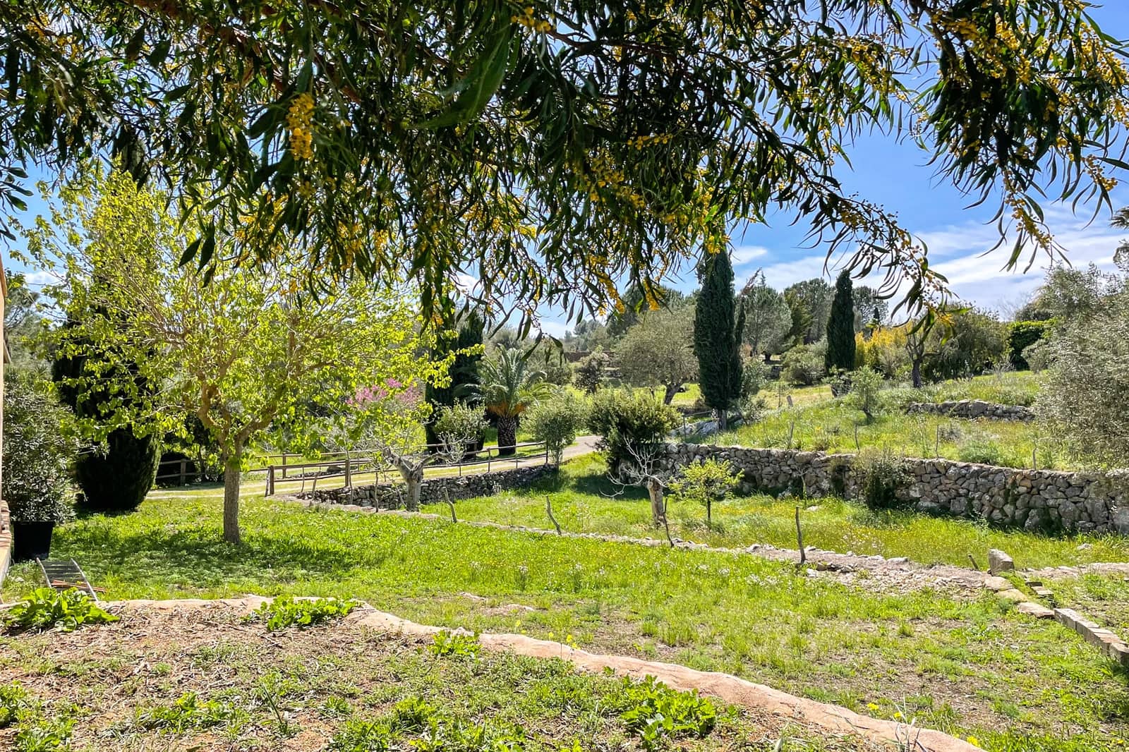 3 chambre Finca/Maison de Campagne à vendre à Arta - 785 000 € (Ref: 9760092)