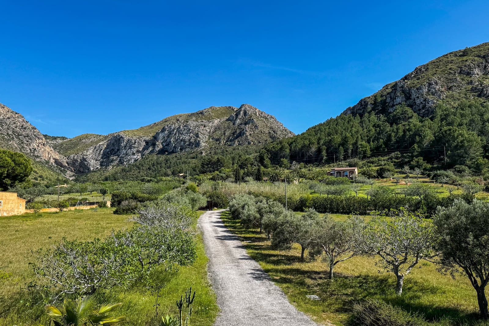 Finca/Casa Rural de 5 habitaciones en Colonia de Sant Pere / Colonia de San Pedro en alquiler con garaje - 3.500 € (Ref: 9808573)