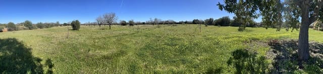 Bouwgrond te koop in Llucmajor - € 375.000 (Ref: 7457157)