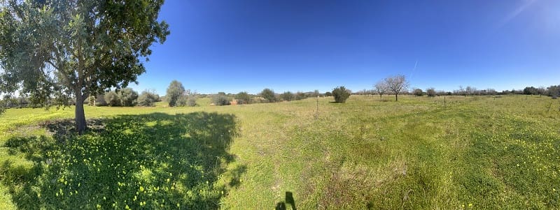 Byggegrund til salg i Llucmajor - € 375.000 (Ref: 7457157)