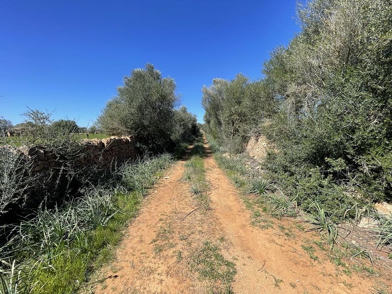 Byggegrund til salg i Llucmajor - € 375.000 (Ref: 7457157)