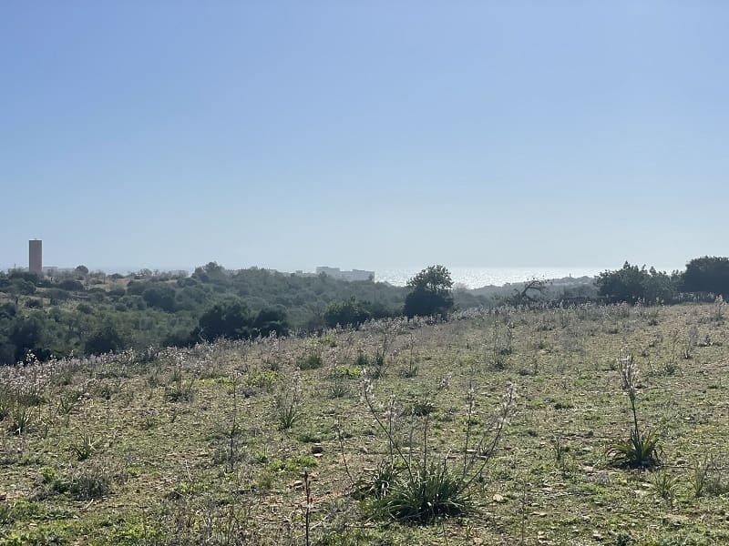 2 soverom Finca/Herregård til salgs i Calas de Mallorca med garasje - € 1 250 000 (Ref: 7466911)