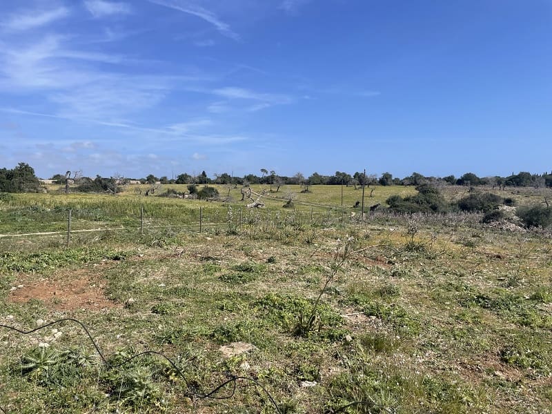 2 soverom Finca/Herregård til salgs i Calas de Mallorca med garasje - € 1 250 000 (Ref: 7466911)