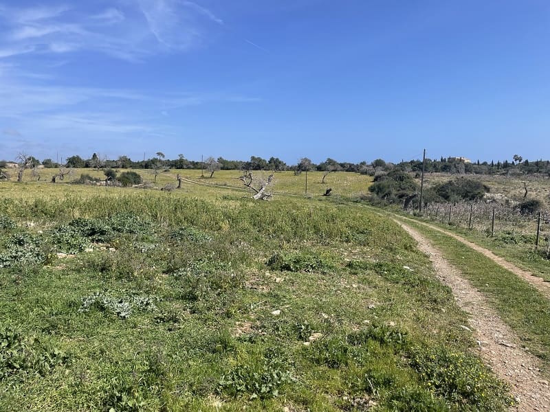 2 soverom Finca/Herregård til salgs i Calas de Mallorca med garasje - € 1 250 000 (Ref: 7466911)