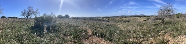 Bouwgrond te koop in Calas de Mallorca, Manacor - € 449.900 (Ref: 7471968)