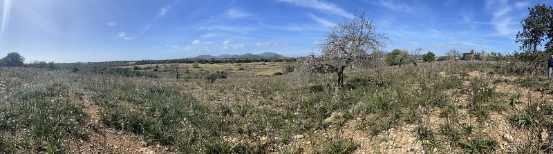 Byggetomt til salgs i Calas de Mallorca - € 449 900 (Ref: 7471968)