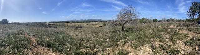 Bouwgrond te koop in Calas de Mallorca, Manacor - € 449.900 (Ref: 7471968)