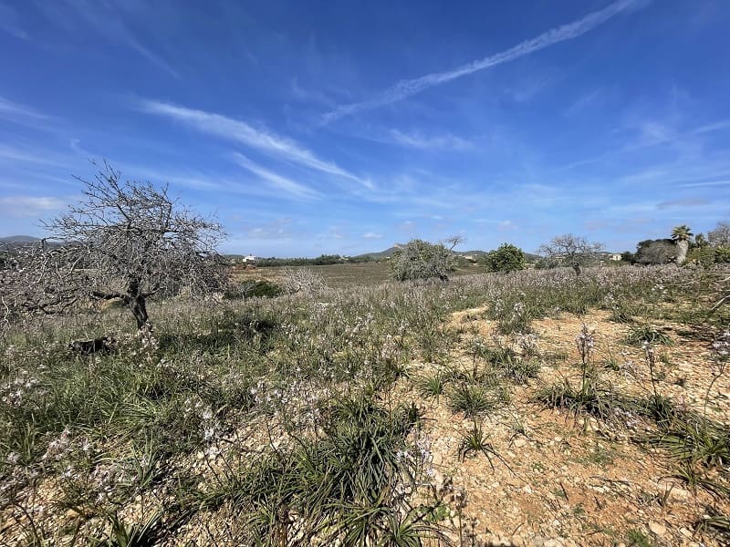 Byggetomt til salgs i Calas de Mallorca - € 449 900 (Ref: 7471968)