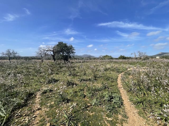 Bouwgrond te koop in Calas de Mallorca, Manacor - € 449.900 (Ref: 7471968)