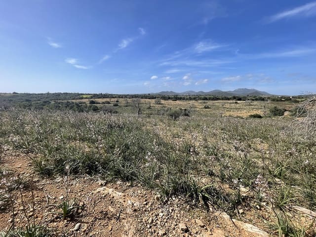 Bouwgrond te koop in Calas de Mallorca, Manacor - € 449.900 (Ref: 7471968)