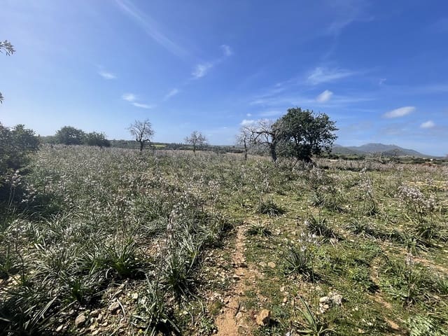 Bouwgrond te koop in Calas de Mallorca, Manacor - € 449.900 (Ref: 7471968)