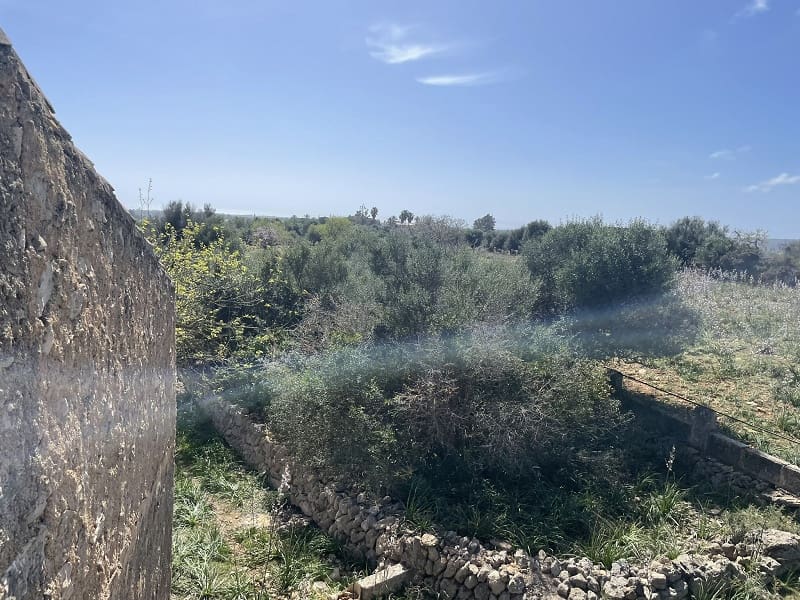 3 slaapkamer Finca/Landhuis te koop in Calas de Mallorca - € 690.000 (Ref: 7475660)