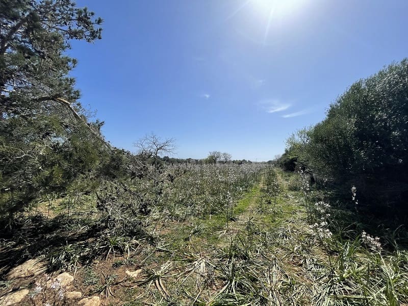 3 slaapkamer Finca/Landhuis te koop in Calas de Mallorca - € 690.000 (Ref: 7475660)