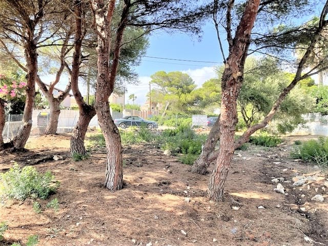 Bouwgrond te koop in Cala Pi, Llucmajor - € 1.500.000 (Ref: 7715988)