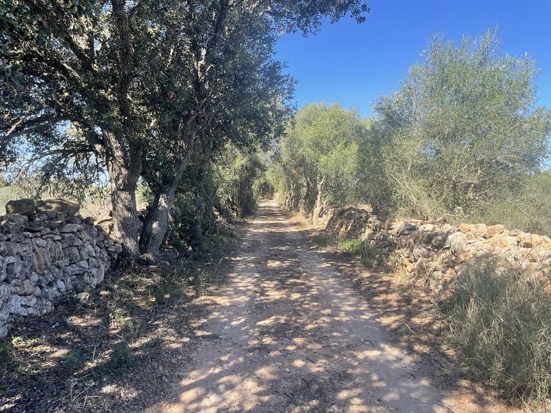 4 soveværelse Finca/Landehus til salg i Llucmajor med swimmingpool garage - € 1.395.000 (Ref: 7830619)