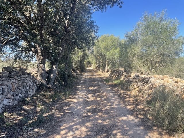 4 soveværelse Finca/Landehus til salg i Llucmajor med swimmingpool garage - € 1.395.000 (Ref: 7830619)