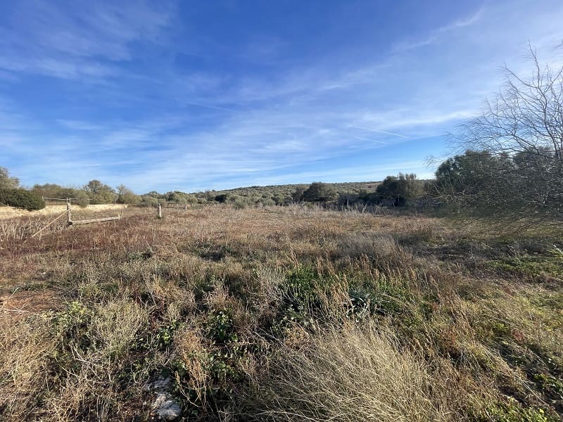 4 chambre Finca/Maison de Campagne à vendre à Campos avec piscine garage - 870 000 € (Ref: 8012475)