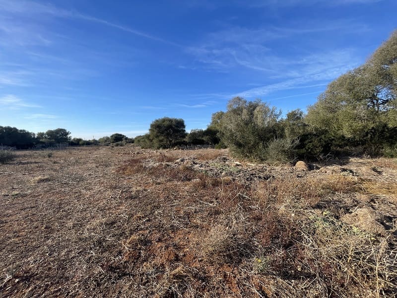 4 chambre Finca/Maison de Campagne à vendre à Campos avec piscine garage - 870 000 € (Ref: 8012475)