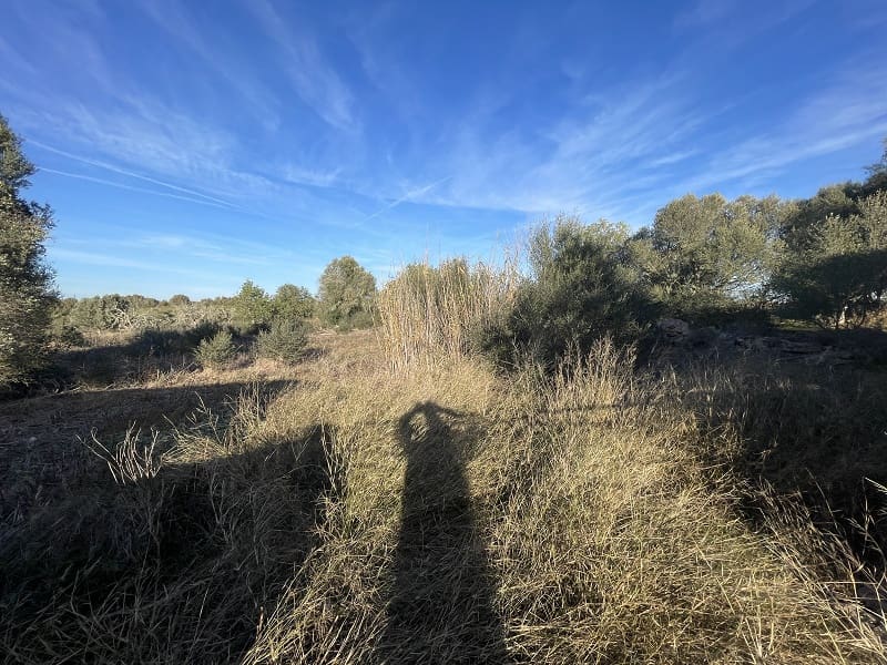 4 chambre Finca/Maison de Campagne à vendre à Campos avec piscine garage - 870 000 € (Ref: 8012475)