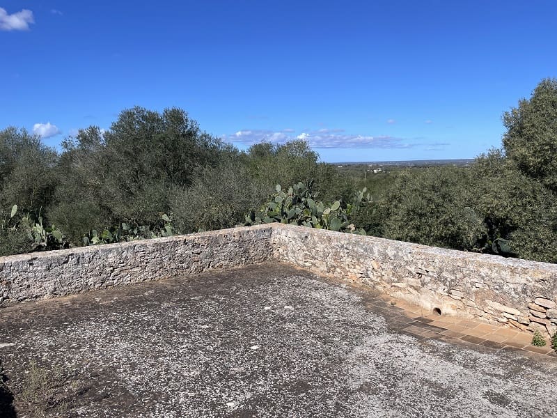 5 chambre Finca/Maison de Campagne à vendre à Campos avec garage - 740 000 € (Ref: 8302048)