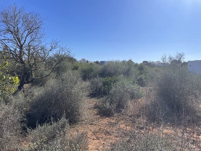 Terrain à Bâtir à vendre à Sa Rapita / La Rapita, Campos - 305 000 € (Ref: 8653803)