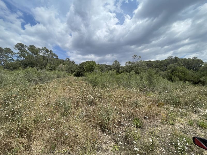 Tomt till salu i Costitx - 250 000 € (Ref: 9198152)