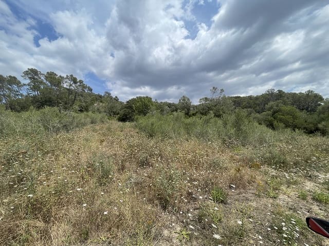 Tomt till salu i Costitx - 250 000 € (Ref: 9198152)