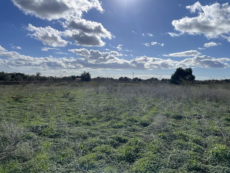 Bouwgrond te koop in Llucmajor - € 599.000 (Ref: 9376371)