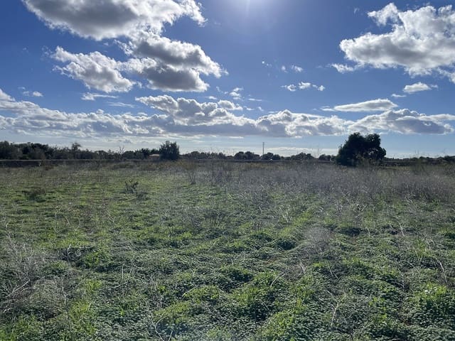 Bouwgrond te koop in Llucmajor - € 599.000 (Ref: 9376371)