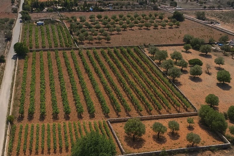 Bouwgrond te koop in Llucmajor - € 599.000 (Ref: 9376371)