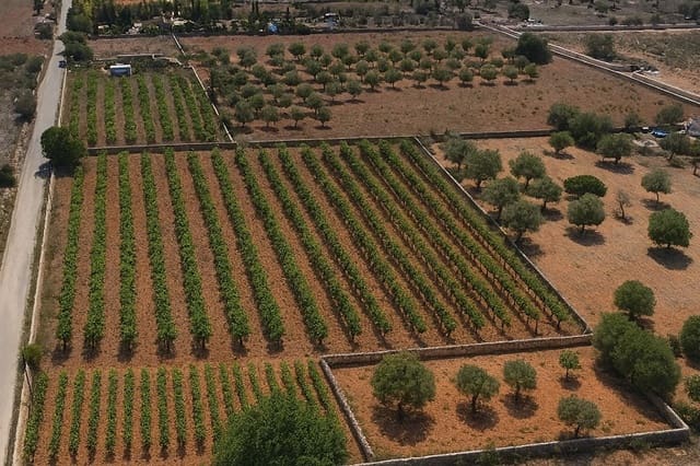 Bouwgrond te koop in Llucmajor - € 599.000 (Ref: 9376371)