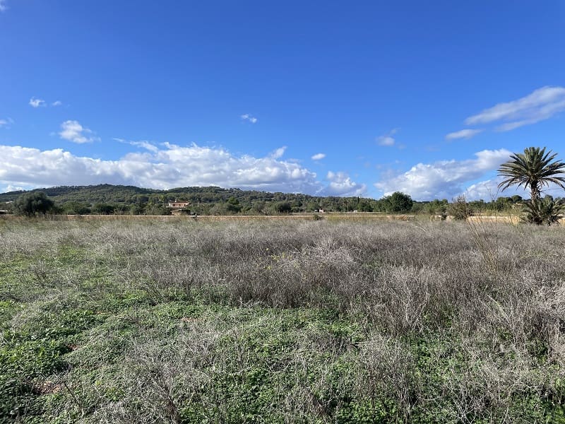 Bouwgrond te koop in Llucmajor - € 599.000 (Ref: 9376371)