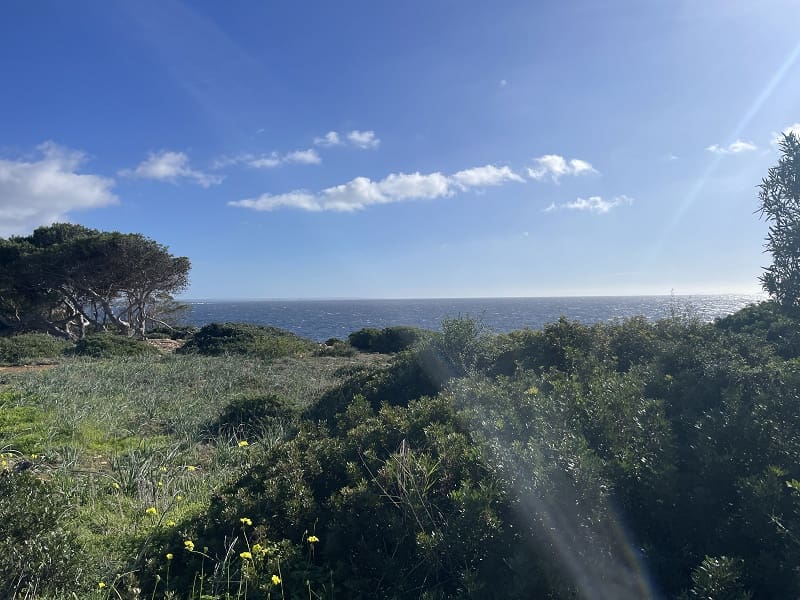 5 quarto Moradia para venda em Cala Pi com piscina garagem - 1 735 000 € (Ref: 9525570)