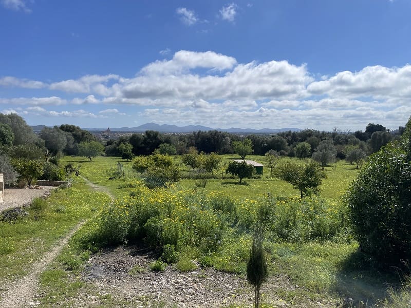 4 bedroom Finca/Country House for sale in Porreres with pool garage - € 1,700,000 (Ref: 9703330)