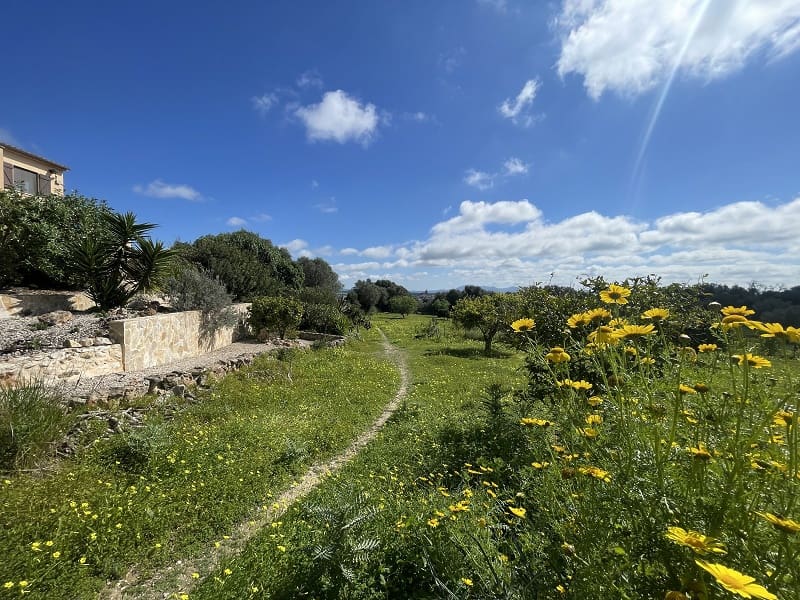 4 bedroom Finca/Country House for sale in Porreres with pool garage - € 1,700,000 (Ref: 9703330)