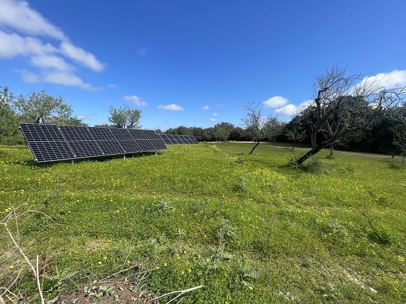 4 bedroom Finca/Country House for sale in Porreres with pool garage - € 1,700,000 (Ref: 9703330)