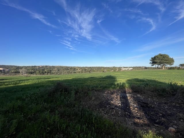 4 bedroom Finca/Country House for sale in Manacor with garage - € 1,300,000 (Ref: 9755030)