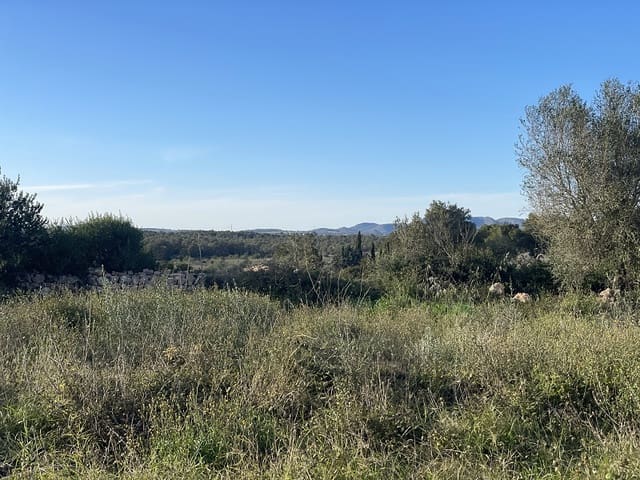 4 bedroom Finca/Country House for sale in Manacor with garage - € 1,300,000 (Ref: 9755030)