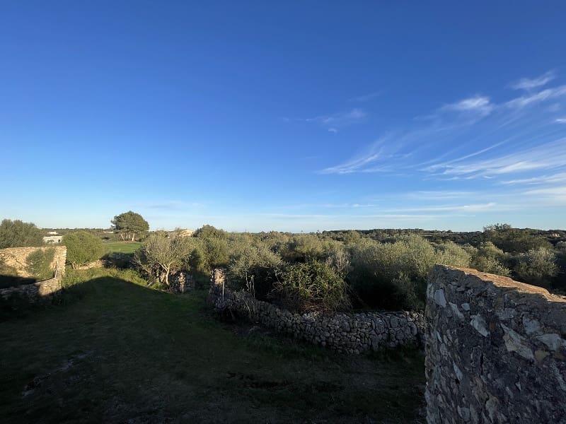 4 bedroom Finca/Country House for sale in Manacor with garage - € 1,300,000 (Ref: 9755030)